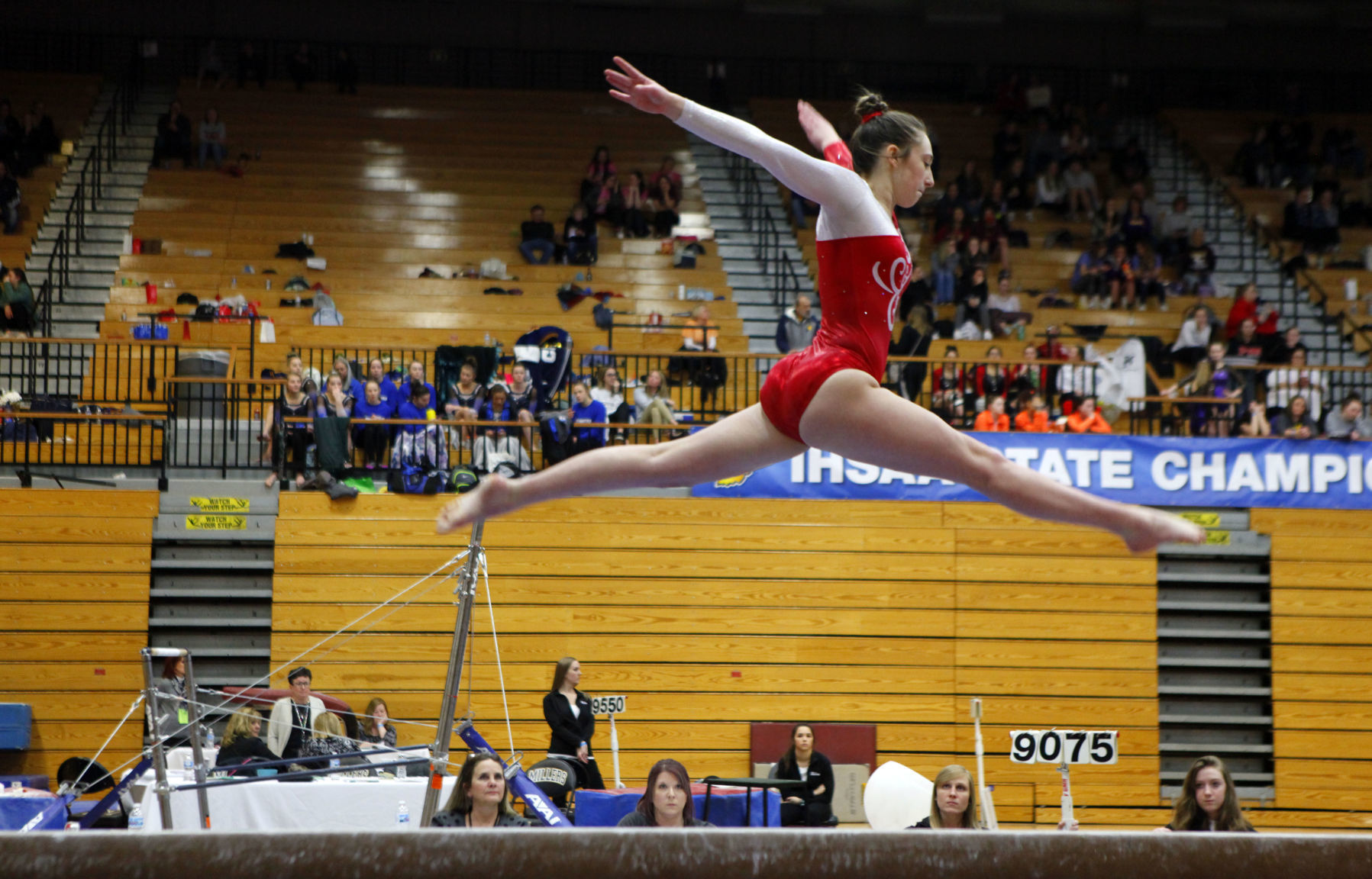 Gallery: Gymanstics state finals